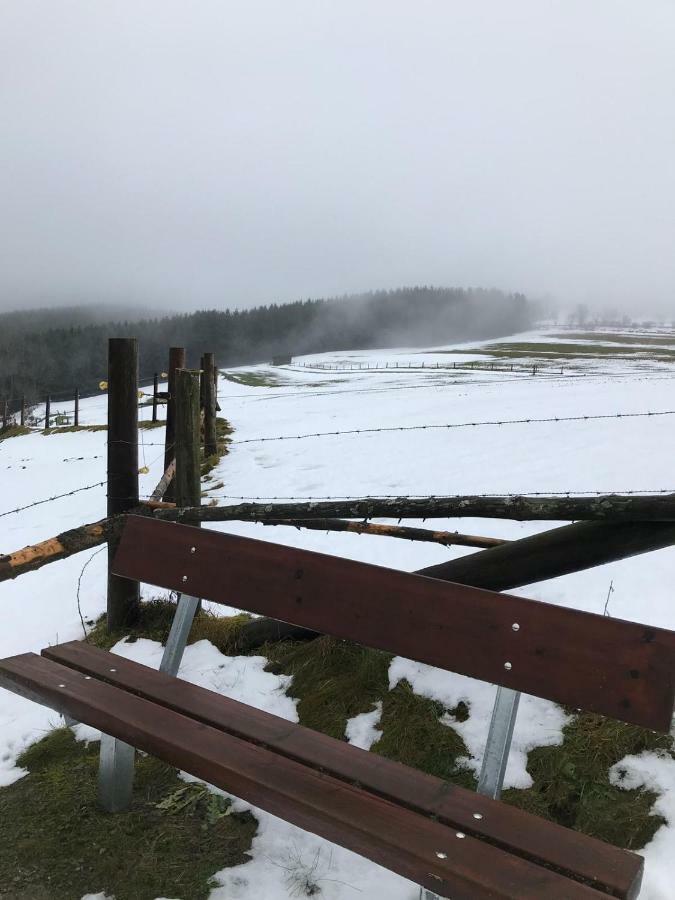 Ferienhaus Schneeweiss Βίντερμπεργκ Εξωτερικό φωτογραφία