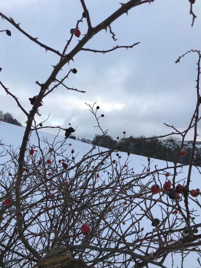 Ferienhaus Schneeweiss Βίντερμπεργκ Εξωτερικό φωτογραφία